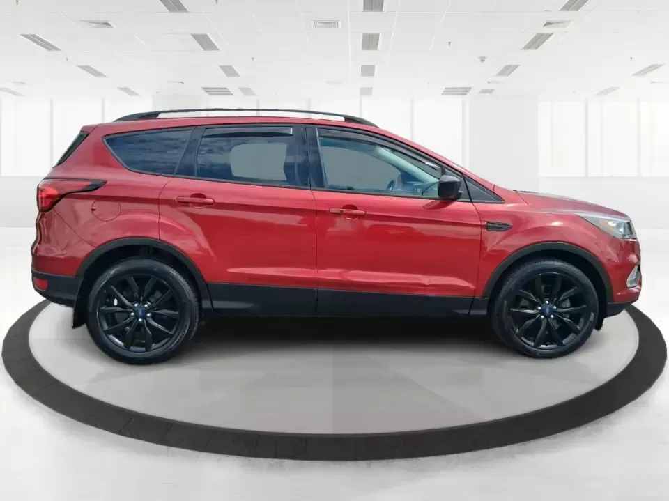 2019 Ford Escape SE (1FMCU9GD8KU) with an 1.5L L4 DOHC 16V engine, 6A transmission, located at 8750 N County Rd 25A, Piqua, OH, 45356, (937) 908-9800, 40.164391, -84.232513 - Make your next week look easier: a confident, all-weather SUV for school runs, long commutes up I75, and spontaneous weekend getaways to Indian Lake or downtown Troy. This **2019 Ford Escape SE** blends practical space with the kind of comfort and tech that fits real life in **Piqua, Ohio**-whether - Photo#1
