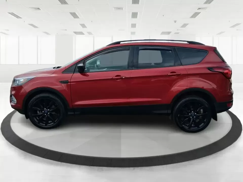 2019 Ford Escape SE (1FMCU9GD8KU) with an 1.5L L4 DOHC 16V engine, 6A transmission, located at 8750 N County Rd 25A, Piqua, OH, 45356, (937) 908-9800, 40.164391, -84.232513 - Make your next week look easier: a confident, all-weather SUV for school runs, long commutes up I75, and spontaneous weekend getaways to Indian Lake or downtown Troy. This **2019 Ford Escape SE** blends practical space with the kind of comfort and tech that fits real life in **Piqua, Ohio**-whether - Photo#5